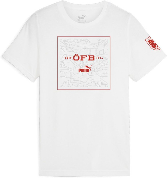 Puma Kinder Shirt ÖFB Ftblicons Tee Jr 774198