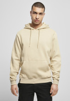 Cayler & Sons C&S Plain Hoody CS002