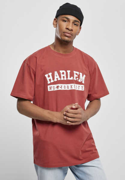 Southpole T-Shirt Harlem Tee Brick Red
