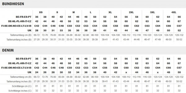 Dassy Arbeitsshorts mit Holstertaschen Bionic PESCO63 Schwarz/Anthrazitgrau