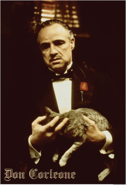 The Godfather Don Corleone Poster Multicolor