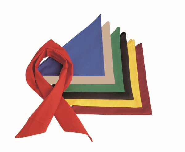 Leiber Dreiecktuch 11/300/89 Apfelgrün