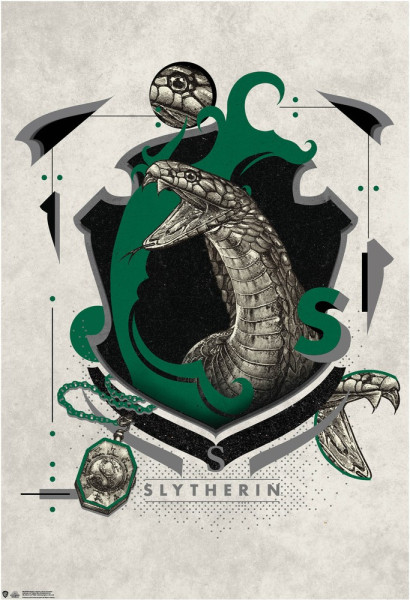 Harry Potter Slytherin Poster 2 Multicolor
