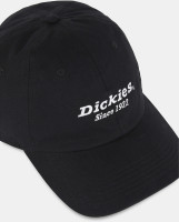 Dickies Caps Twill Dad Hat DK0A4YNN