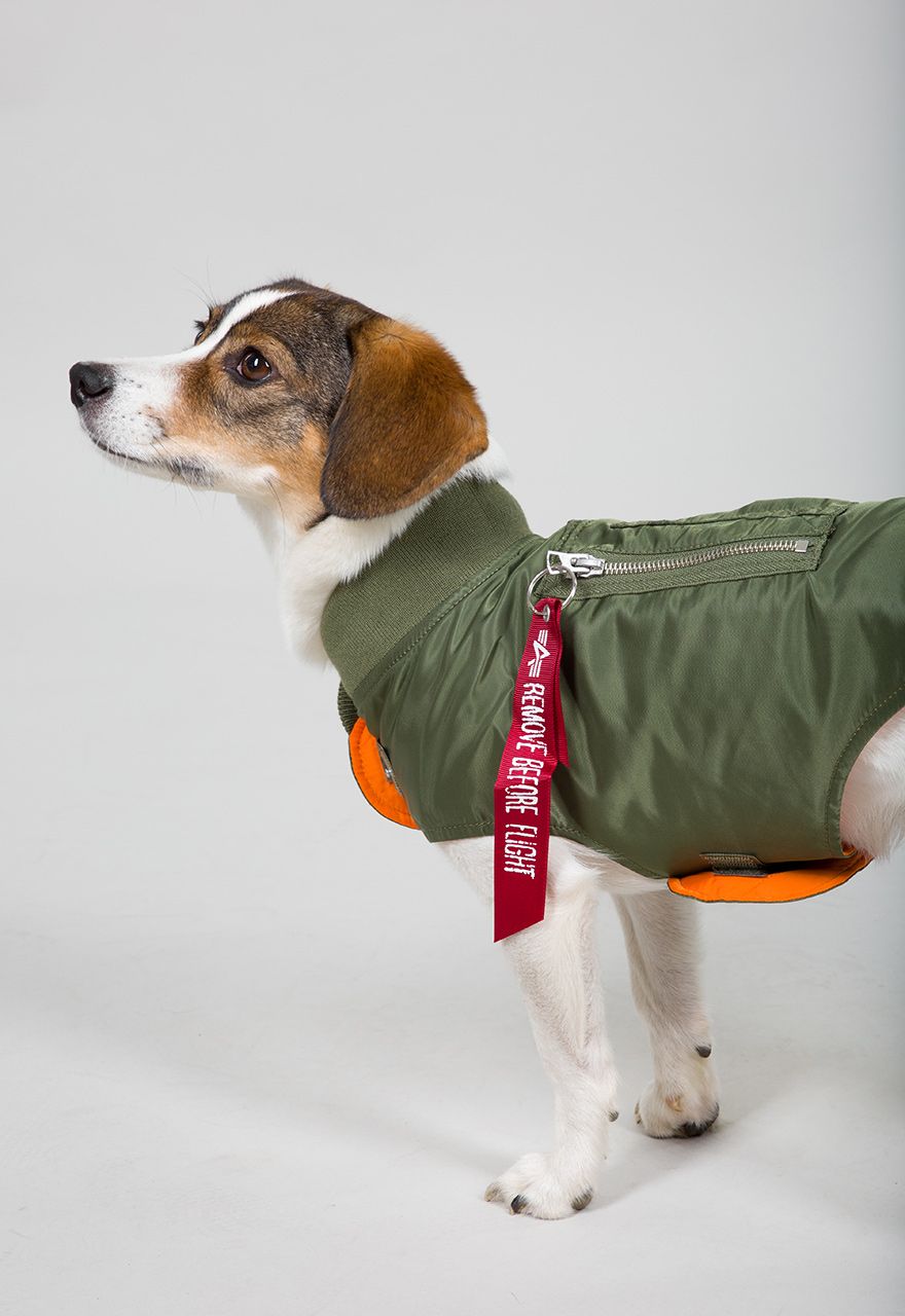 Alpha Industries Dog MA-1 Jacke Für Hunde - Schwarze Bomberjacke Mit Logo & Utility-Tasche