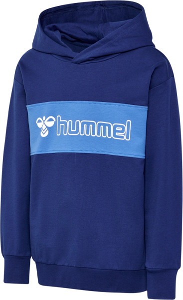 Hummel Sweatshirts & hoodies Hmlatlas Hoodie