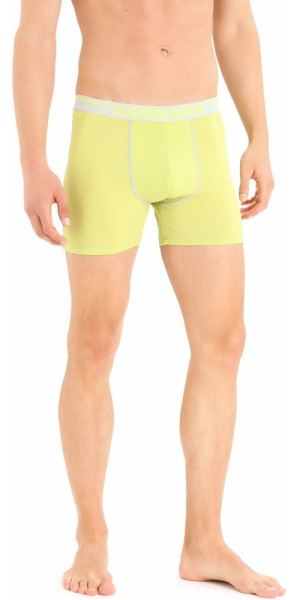 Icebreaker Herren Boxer Shorts Anatomica Ether/Shine 1349770