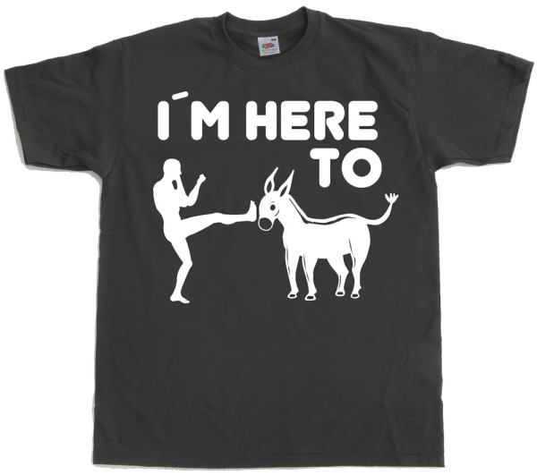 Hybris I'm Here To Kick Ass T-Shirt SH-1-15157-LFH2-5