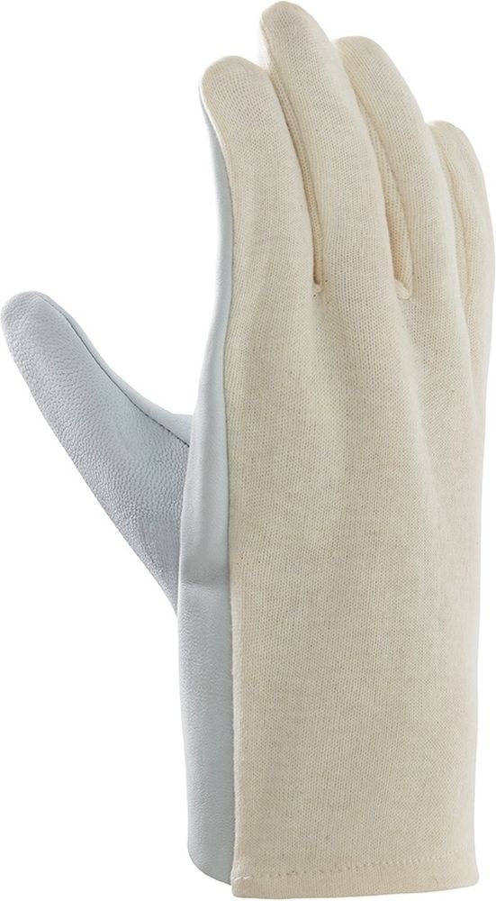 teXXor Ziegen-/Schafsnappa-Handschuhe Trikotrücken (12 Stück) 1250 - Herren / Unisex