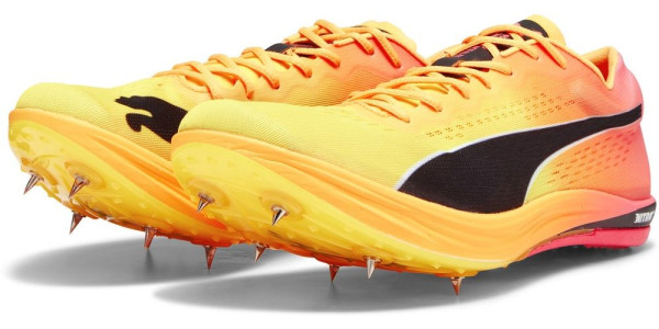 Puma Schuhe Low evoSPEED Long Distance Nitro Elite+ 378222