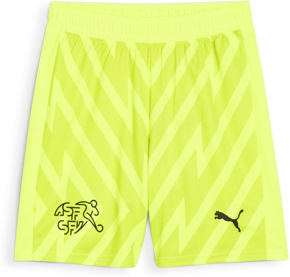 Puma Kinder Sport Shorts SFV GK Shorts Replica Jr 773983 - Herren / Unisex