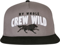 Cayler & Sons Crew Wild Cap Grey/Black
