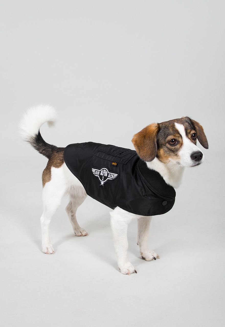 dog flight jacket