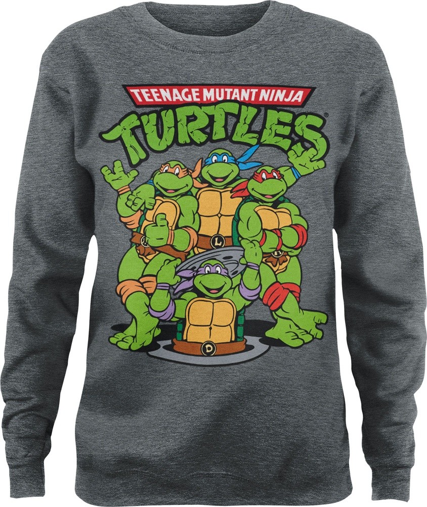 Teenage Mutant Ninja Turtles Group Girly Sweatshirt Damen Heather-Medium-Grau - Damen