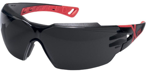 Uvex Bügelbrille Pheos Cx2 Grau Infrarotschutz 5,0 Inf. Plus 9198175