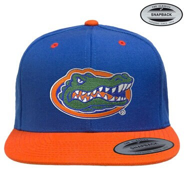 University of Texas Florida Gators Albert Premium Snapback Cap Blue/Orange