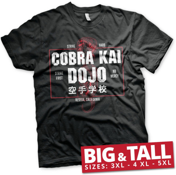 Cobra Kai Dojo Big & Tall T-Shirt Black