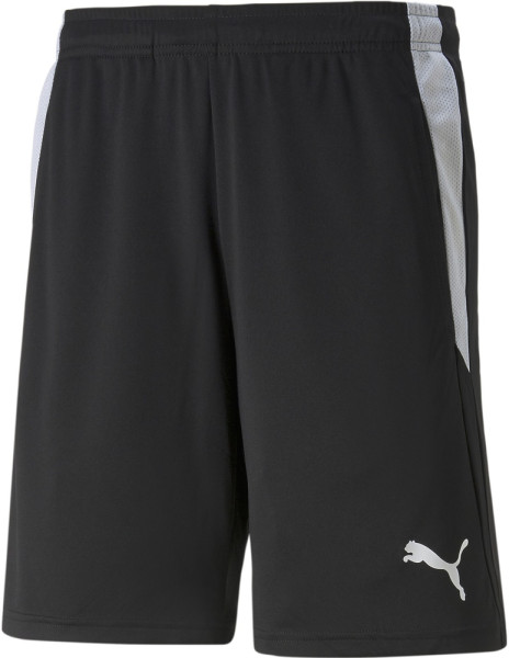 Puma Sport Shorts TeamLIGA Referee Shorts 705453
