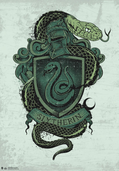 Harry Potter Slytherin Poster 1 Multicolor