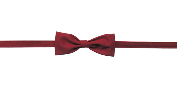 Leiber Fliege 02/118/21 Bordeaux