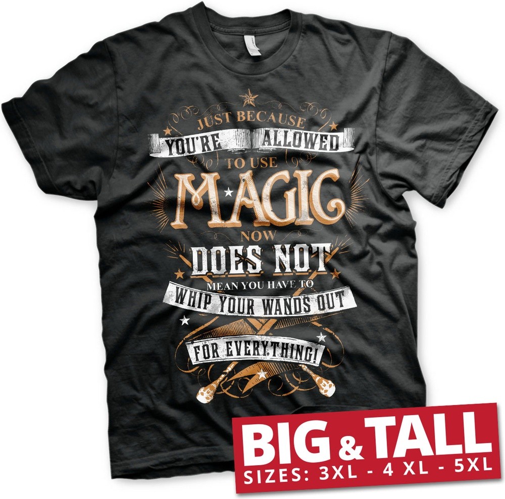 Harry Potter Magic Big & Tall T-Shirt Schwarz - Herren / Unisex