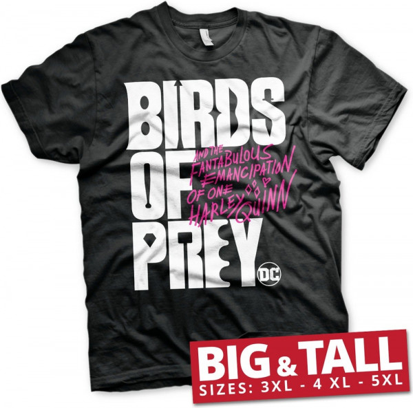 Birds Of Prey Logo Big & Tall Hoodie Black