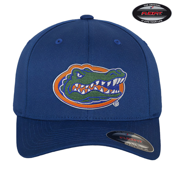 University of Texas Florida Gators Albert Flexfit Cap Blue