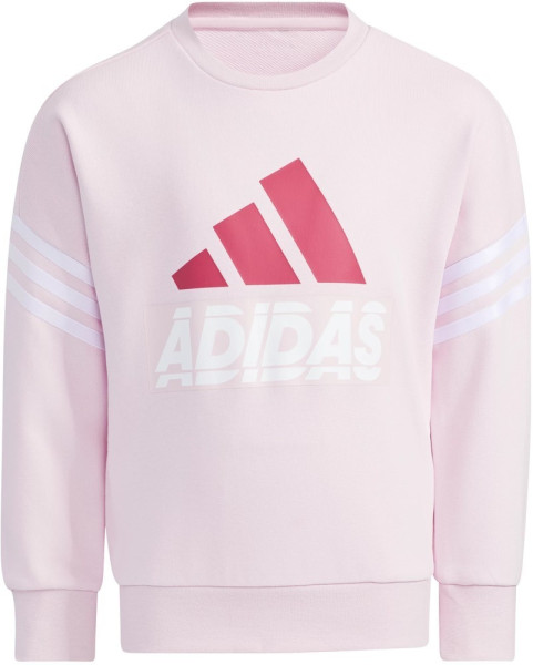 Adidas Mädchen Sportschuhe Kinder Hoodie Graphic Crew Neck Clear 135580