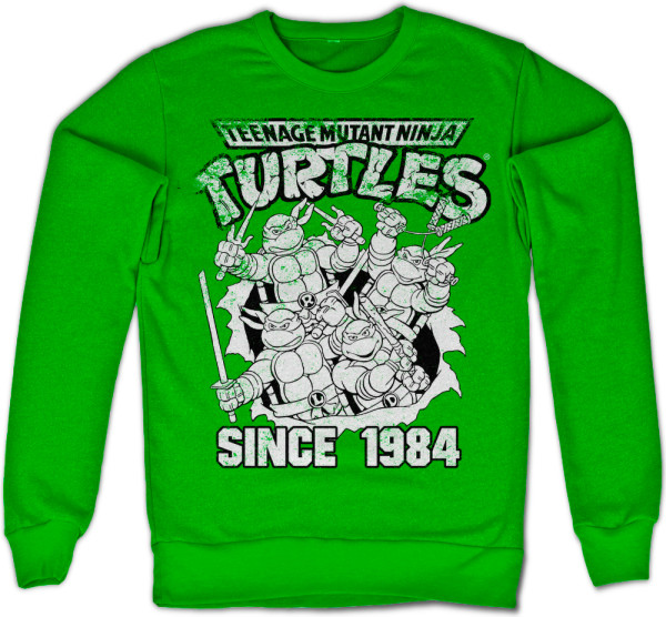 Teenage Mutant Ninja Turtles TMNT Distressed Since 1984 Sweatshirt Green