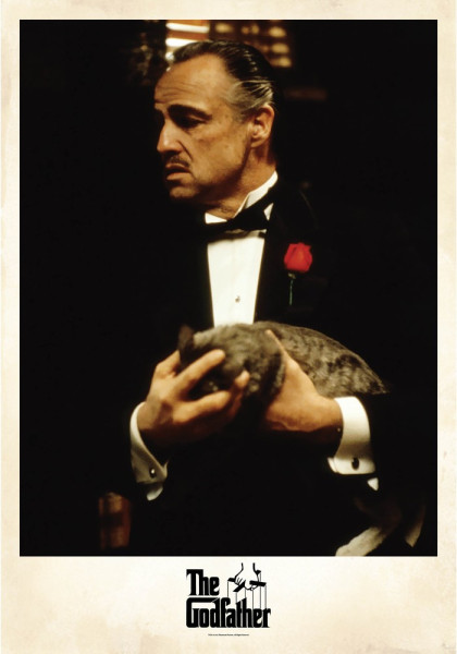The Godfather Vito Corleone Photo Poster Multicolor