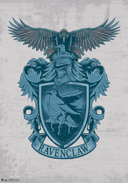 Harry Potter Ravenclaw Poster 1 Multicolor