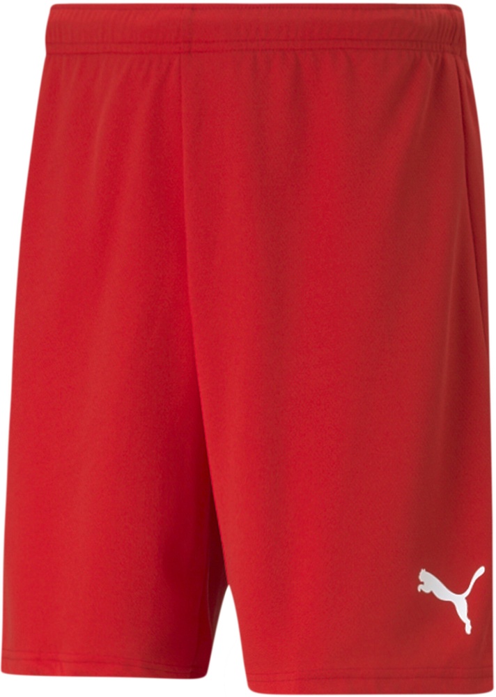 Puma Sport Shorts TeamRISE Short 704942 - Herren / Unisex
