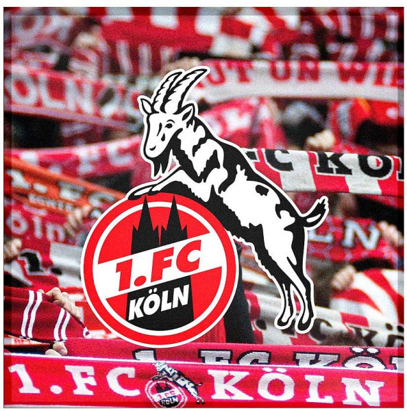 1. FC Köln Austausch-Motiv Schals 4080480