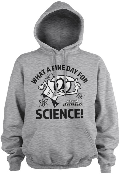 Dexters Laboratory What A Fine Day For Science Hoodie WB-3-DL001-H97-3