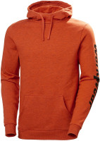 Helly Hansen Logo Hoodie