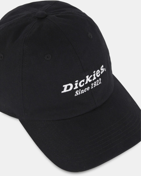 Dickies Caps Twill Dad Hat DK0A4YNN