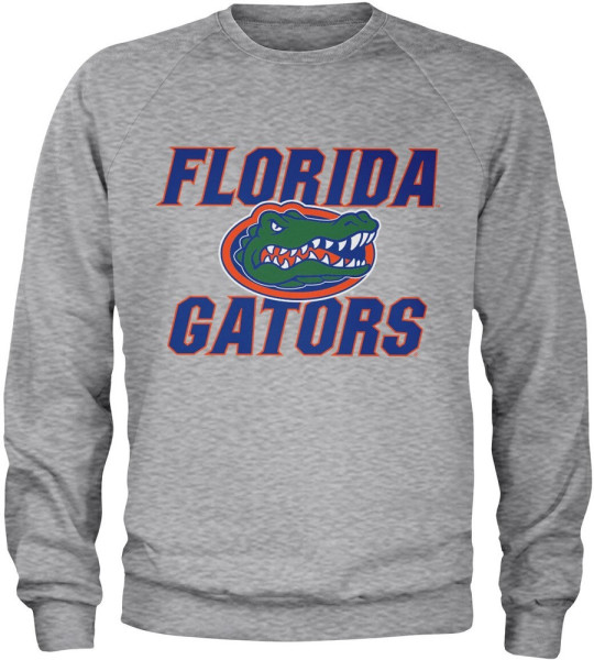 University of Florida Florida Gators Sweatshirt Heathergrey