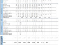 Preview: Uvex Damen Arbeitshose, Cargohose SuXXeed Craft Weiß Preview: Uvex Damen Arbeitshose, Cargohose SuXXeed Craft Weiß