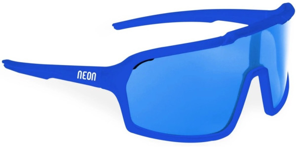 Neon Sonnenbrille Arizona AZBR X8 124140