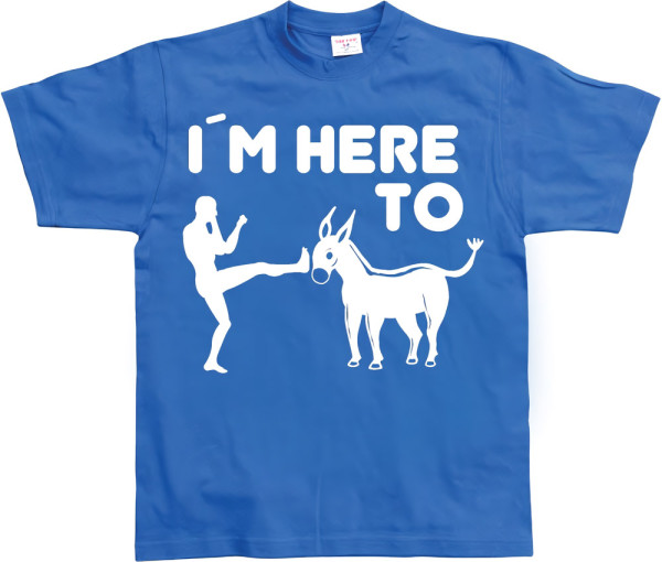 Hybris I'm Here To Kick Ass T-Shirt SH-1-15157-LFH2-5