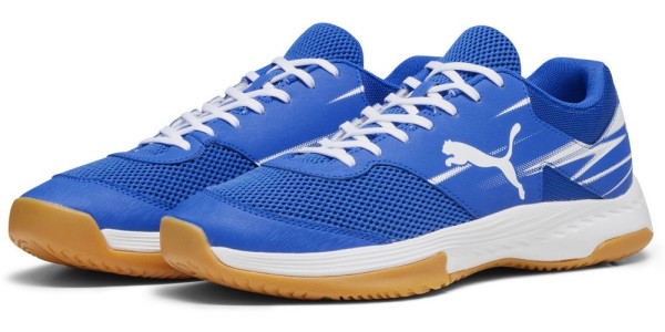 Puma Indoorschuhe Low Varion II 107341