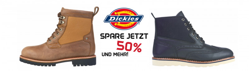 Welche Kriterien es beim Kauf die Dickies arbeitshose zu untersuchen gilt!