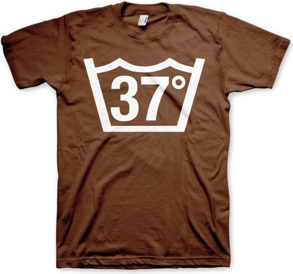 Hybris 37 Celcius Tee T-Shirt Brown