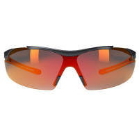 Hellberg Schutzbrille Argon AF/AS Smoke Red Hellberg Schutzbrille Argon AF/AS Smoke Red