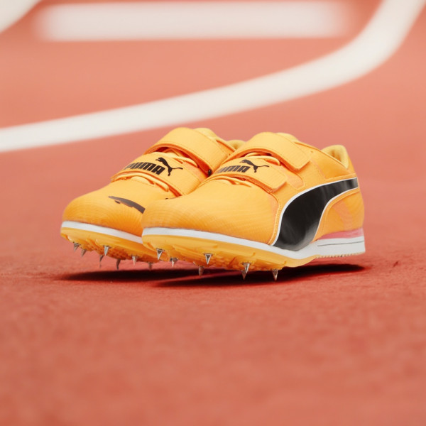 Puma Schuhe Low evoSPEED Triple Jump/PV 12 Ultraweave 310582