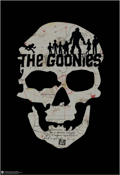 The Goonies Skull Poster Multicolor