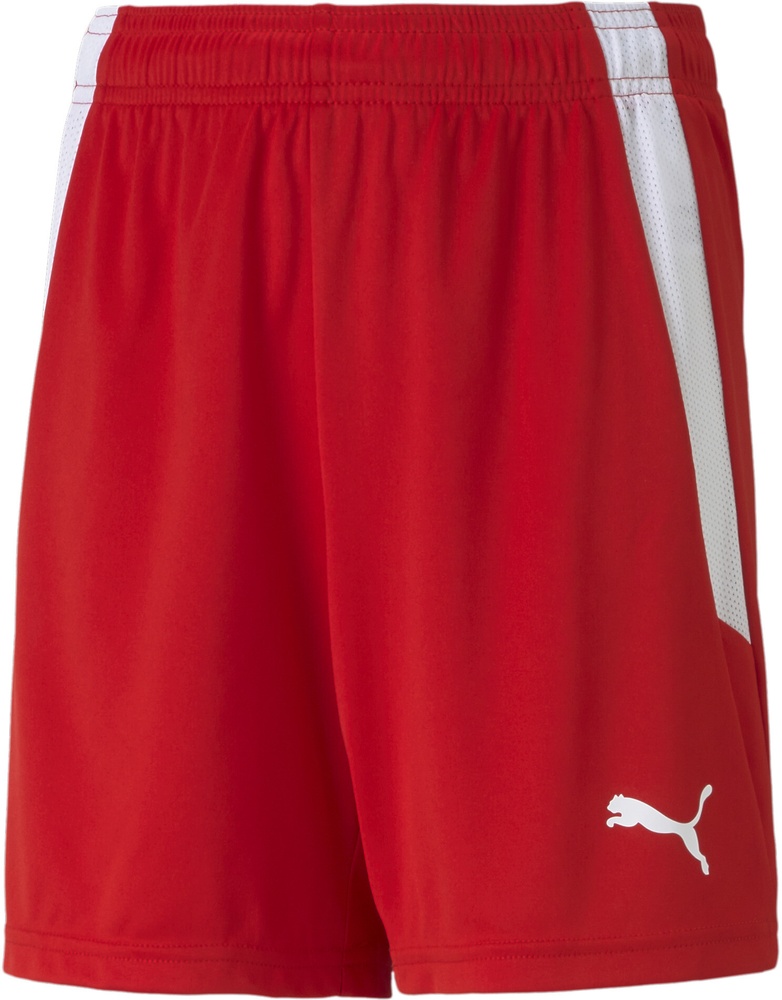 Puma Kinder Sport Shorts TeamLIGA Shorts Jr 704931 - Herren / Unisex