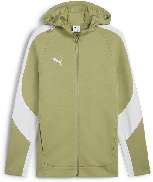 Puma Sweat Jacke TeamEVOSTRIPE Hooded Jacket 659947