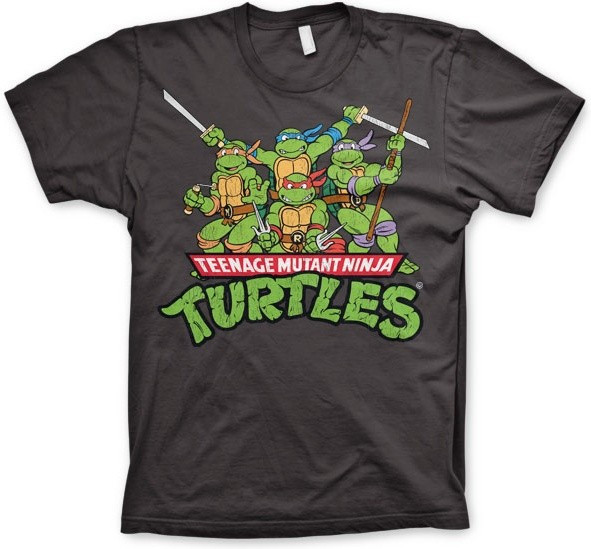 Teenage Mutant Ninja Turtles Turtles Distressed Group T-shirt Dark-Grey