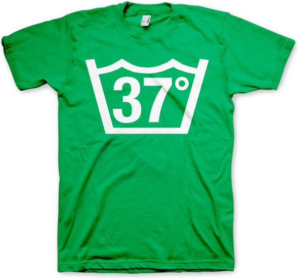 Hybris 37 Celcius Tee T-Shirt Green
